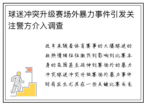 球迷冲突升级赛场外暴力事件引发关注警方介入调查